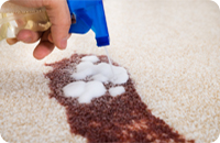 Cleaning Company Near Istanbul 